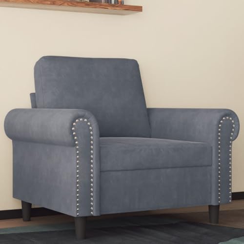 Bucmath Sillón gris oscuro de 60 cm, tela de terciopelo, estructura metálica, cómodo acolchado para salón, dormitorio, rincón de lectura, carga máxima de 110 kg