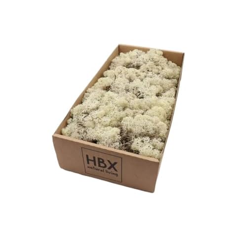 Floralcraft 500g Natural Reindeer Moss Decoration Cover