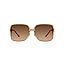 Transparent Brown/Brown Gradient