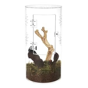 Naneezoo NAN-Y-6612 Acryl-Terrarium für Reptilien