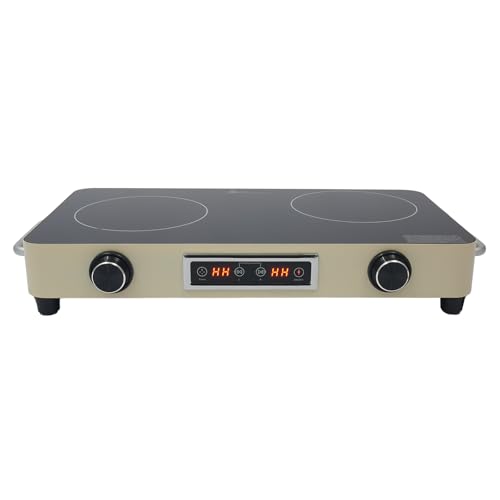 2200W Double Burner Electric Cooktop - 2-Burner Induction Stove with 99-Minute Timer, Child Safety Lock, 9 Power Settings, Portable Electric Stove for Kitchen, RV, Apartment Cooking (Silver)