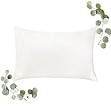 WonderHome Cooling Pillowcase for Hair Skin Deeper Sleep, Luxury Tencel + Bamboo Rayon, Silky-Soft Lightweight Standard Satin Pillow Case, Anti-Bacteria, Hypoallergenic, Natural Ivory, 20