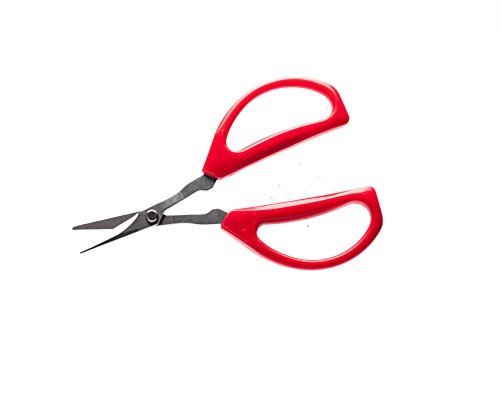Joyce ChenÂ 51-0748 Everyday Scissors - Tapered Point for Precise Cuts Model: 51-0748 (Home & Kitchen)