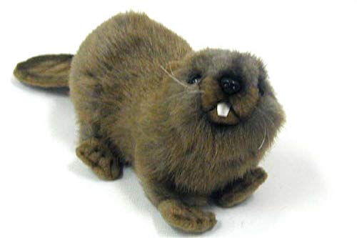 Hansa - Castoro Peluche