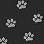 B-Footprint Black