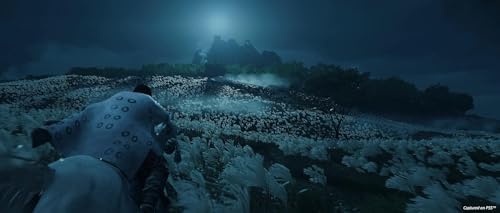 Ghost of Tsushima DIRECTOR'S CUT - PC [Online Game Code]
