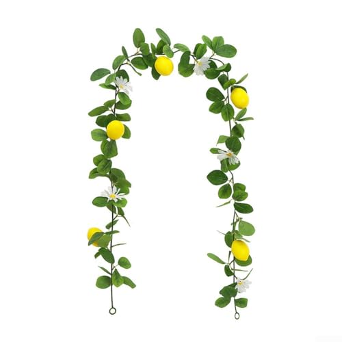 lH O[A GARpCv 200cm  p[eB[ AȌ 2X^CI\ Cxgp ߉\ hA tFCNO[  CeA