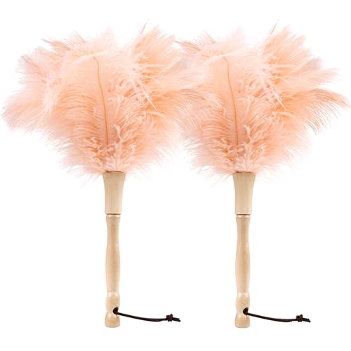 Image of Ostrich Feather Duster 12 Inch Handheld Duster Supplies, Wooden Handle Feather Duster for Cleaning Keyboard Home Car Office (Champagne 2Pcs)