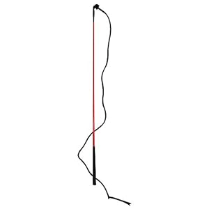 Intrepid International Training Stick and Whip