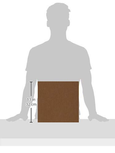 Bazzill Cinnamon Stick 12X12 Textured Cardstock | 80 Lb Light Brown Scrapbook Paper | Premium Card Making And Paper Crafting Supplies | 25 Sheets Per Pack #TOP1