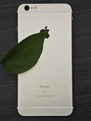 Phone 6S 32GB Unlocked Gold 4.7 Inches