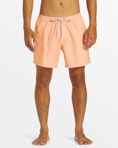 Quiksilver Men's Standard Everyday Solid 15 Volley Boardshort Swim Trunk3