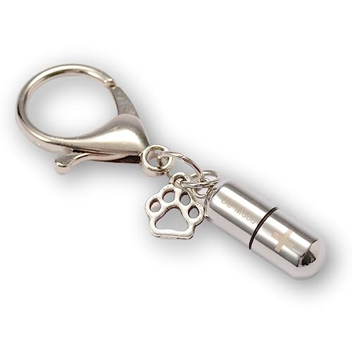 Pettieland ⍜ JvZ L[ z_[  L   ybg  茳{   AObY `[t (Vo[)