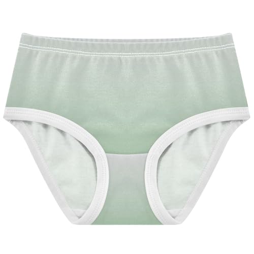 Joisal Magnolia Dark Sea Green Gradient Cute Panties Girl Toddler Girls Underwear Cotton Fun Print Underpants Briefs 2t