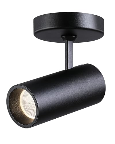Image of LED Dimmable Indoor Ceiling Spotlight, Hardwire Directional Fixture