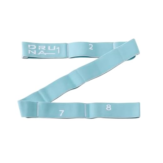 Bandas Elasticas Musculacion de Resistencia para Fitness Fisioterapia y Pilates + Gomas Gimnasio para Hacer Ejercicio y Estiramientos con 8 Asas Ajustables Unisex Azul Claro - Druna