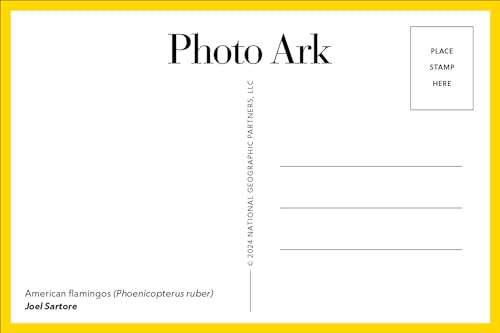 Photo Ark: 50 Postcards (The Photo Ark) - Image 3