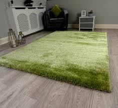 Image of Micro Polyester Yarn Super Soft Fluffy Area Rectangular Rug for Living Room Handmade 2 Inches (Thickness,Pile) Self Design Color Green Size(3x5 Feet 90x150 Cm)