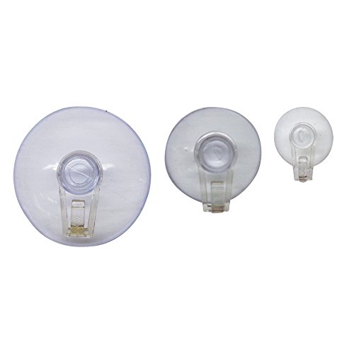 Brite Star 12ct Suction Cup with Hooks