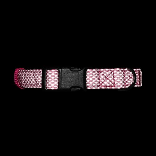 Embark Illuminate Reflective Dog Collar For Medium Dogs–Adjustable Padded Dog Collars With Buckle Made With Nylon Reflective Material To Make Your Dog Collar Visible At Night –Medium Dog Collar (Pink) #TOP2