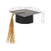 TEHAUX 15pcs Graduation Party Decorations Graduation Hat Goblet Lid Mini Hat Goblet Cover Grad Caps for Cups Graduation Bottle Cap Covers Graduation Cap Goblet Lid Mini Grad Hat Cotton