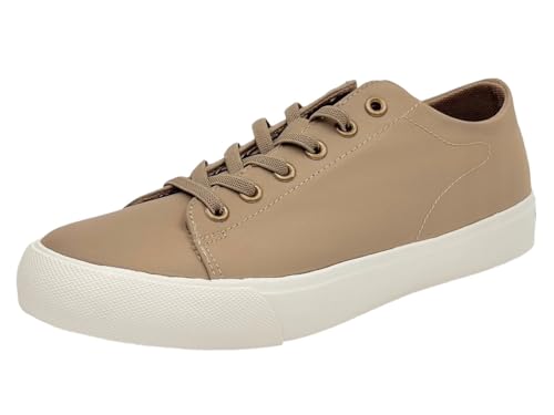 [Y] CV[Y h [Jbg fB[X y CXj[J[ 킢  ɂ ₷ MZ-6001 L 23.5cm