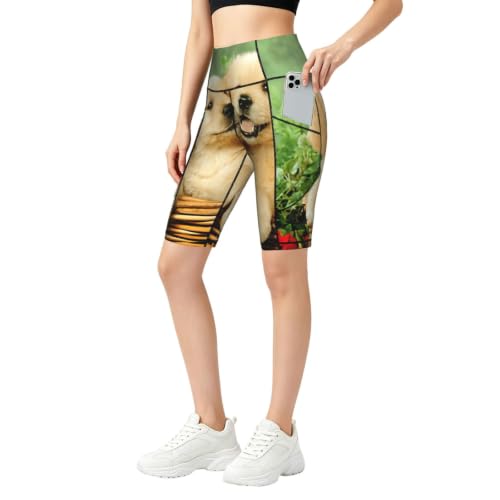 Pantalon de yoga doux et short de cyclisme femme pour fitness