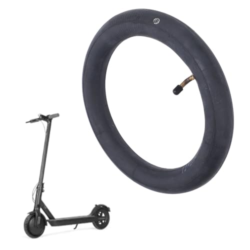 xuuyuu 12 X 2.125 dCXN[^[^CCi[`[u XN[^[^C`[u XN[^[Ci[`[u 12C` S ی_XgJo[݌v