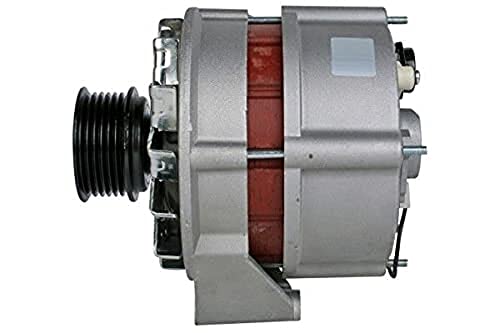 HELLA 8El 012 427-531 Alternateur - 14V - 55A