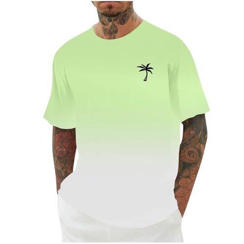 Mens T Shirts XXL, Mens T Shirts Men's Fashion Casual T-Shirts Breathable Lightweight Tee Top Hawaiian Print Summer Camping Hiking Holidays Everyday Wear