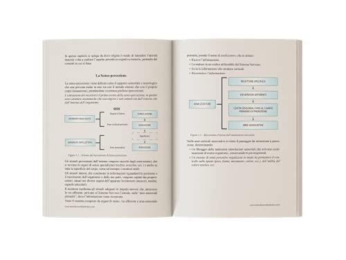 Tennis. La Nuova Scienza Della Preparazione Fisica Con Il Rivoluzionario Metodo Coordinabolico® - 4