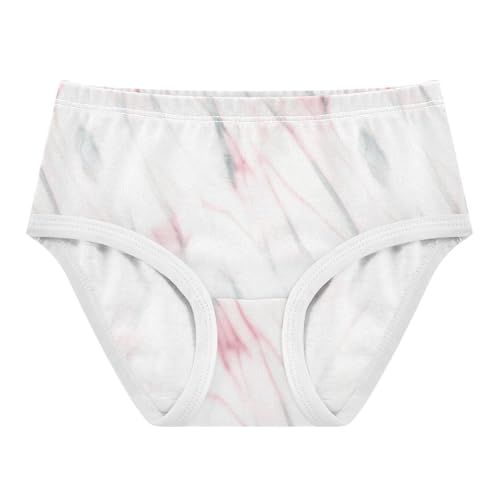Joisal Cotton Toddler Underwear Floral Aesthetic White Light Pink Little Girl Panties Fun Print Briefs Kids Undies 2t