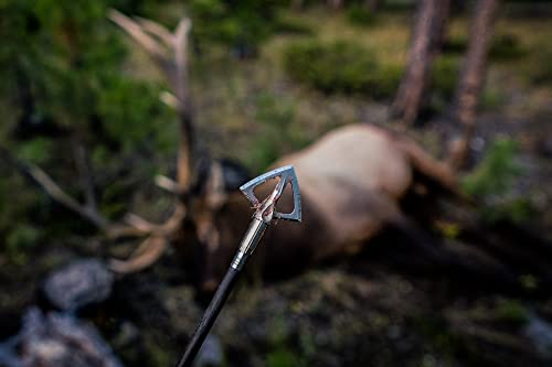 SIK F4 4-Blade Cut on Contact Fixed Blade Broadhead, Silver, One Size (ABH101F4) by SIK - Image 3