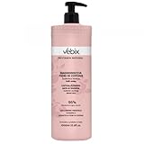 Vebix