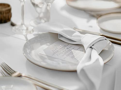 Pomp White 17" X 17" Premium Polyester Cloth Napkin (12 Pack) | Wrinkle + Stain Resistant Easy Care Fabric #TOP3