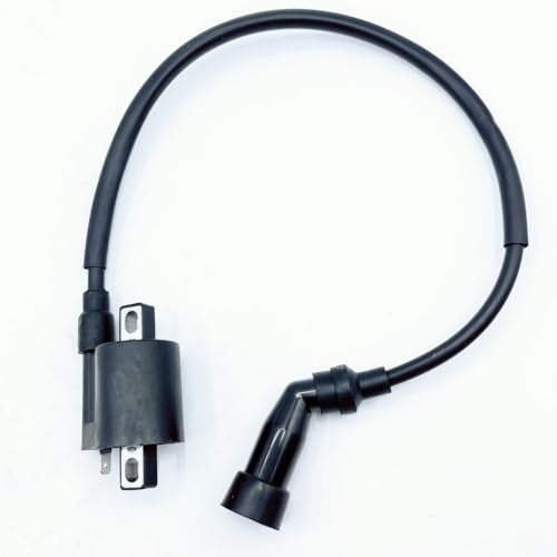 Bobina de encendido JS250 para ATV J-anshe 250CC y quad B-ja WD250-U FG-802000-0