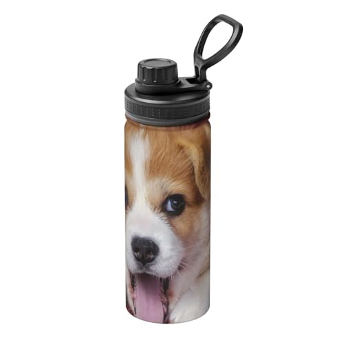 R[M[ q    500ml XeX{g }O{g  L[nht ^ѕ֗ RpNg ۉۗ