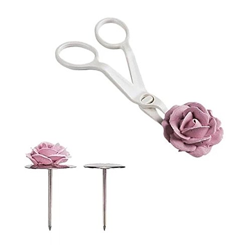 Oksea Icing Blumennagel Set1 Set Piping Blume Schere + Nagel Icing Backen Kuchen Dekorieren Cupcake Gebäckwerkzeug Nagel Zuckerguss backen Kuchen dekorieren Backen dekorieren (Weiß) Cover