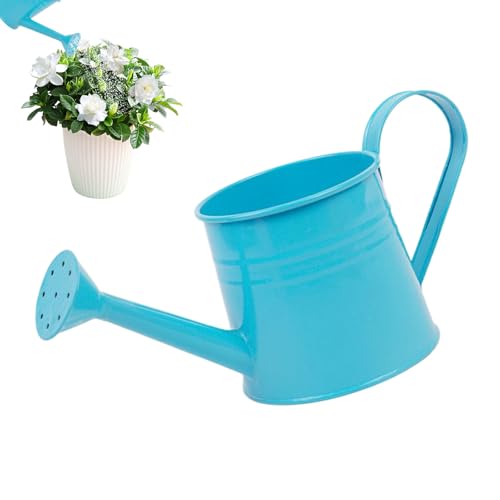 Small Metal Watering Cans For Children Kids Boys Girls, 1 Litre Iron...