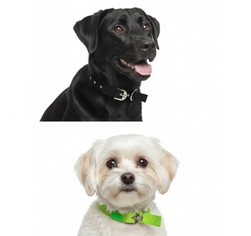 Image of Comfort Fit & Durable Nylon Dog Collar Combo Set - Safe & Adjustable Pet Collars-(Pack of 2) (Black & Green)