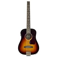 Amazon.co.jp: TRAVELER GUITAR トラベラーギター エレアコギター