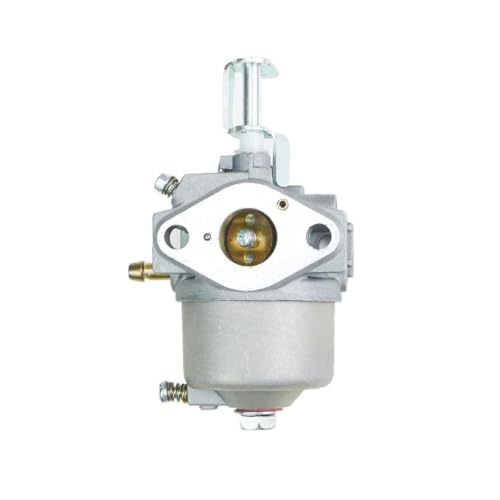 Carburador para motocicleta y cortacésped 1P56F 1P52F 79-96CC