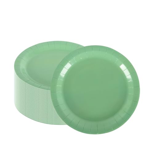 CEILIWEN Lot de 100 assiettes rondes en carton vert sauge de 23 cm pour fêtes, anniversaires, mariages, fêtes dans le jardin, pour restauration et...