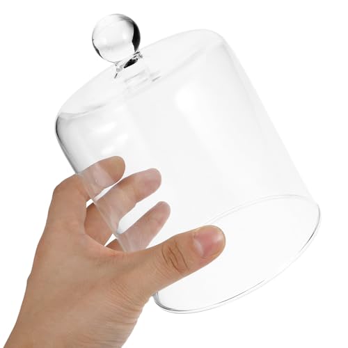 Diseño Estético de Cúpula de Vidrio Transparente para decoración selecta 8