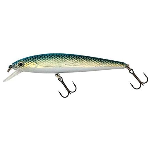 4" Major Minnow Suspending Jerkbait Bass Fishing Lure Bait Life-Like Diving Deep Trout Shad or Floating (Citrus Shad)