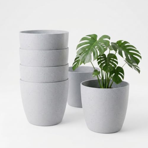 Image of YUCCABE ITALIA SHERA Stella 4 Inch Pack of 3 Piece Plastic Plant Pot for Home Decor Indoor Plant Pots for Living Room Plastic Flower Pot for Garden (Stone Grey, 10 INCH - 6 Pcs)