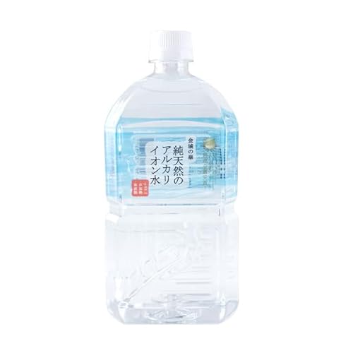 ̉ VR̃AJCI 1L 12{×1P[X