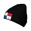 Panama Flag _T5688006