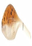Bass Assassin Lures Shad Assassin