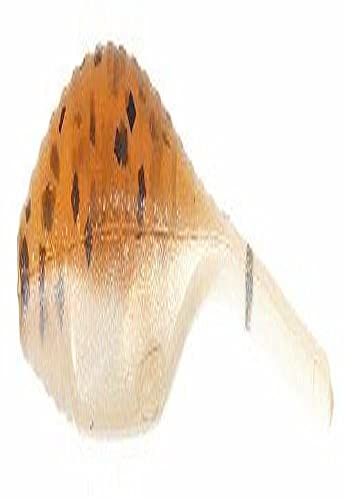 Bass Assassin Lures Shad Lure-Confezione da 15